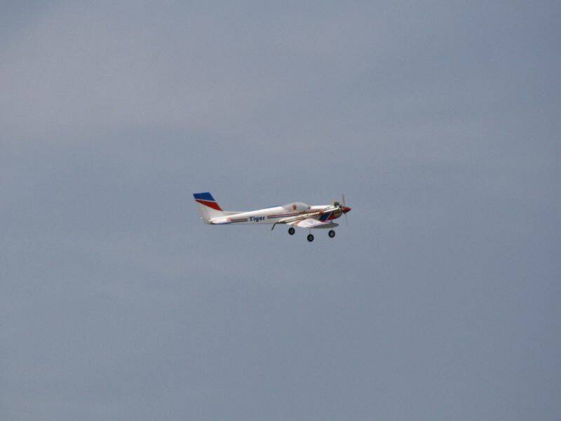 _MG_3521.JPG