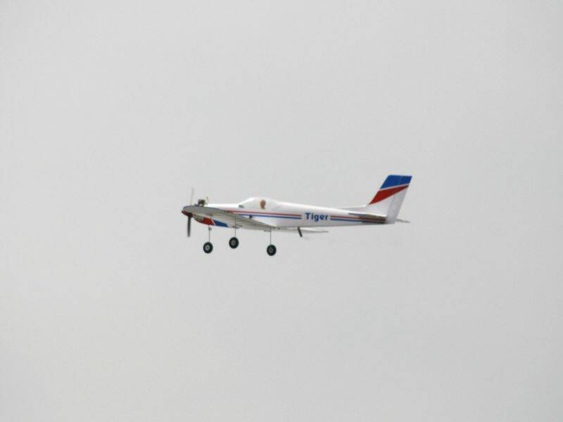 _MG_3523.JPG