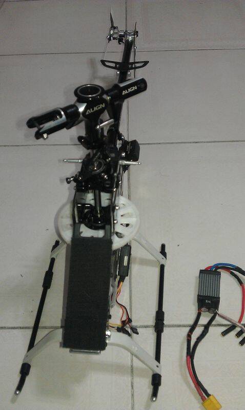 IMAG0130.jpg