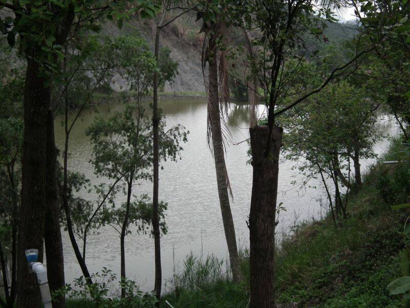 DSCF1367.jpg