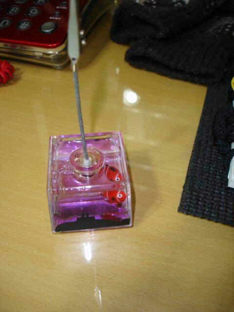 DSC04683.JPG