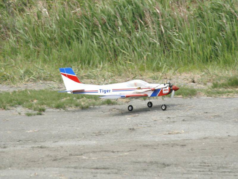 _MG_3584.JPG