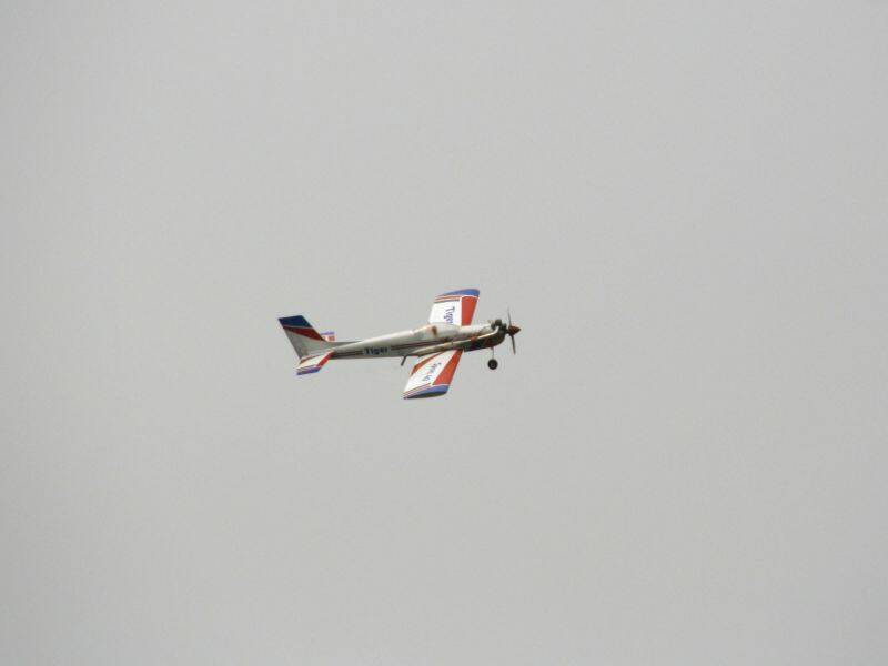 _MG_3575.JPG