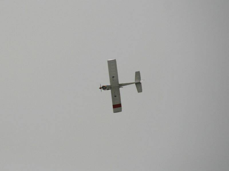 _MG_3572.JPG