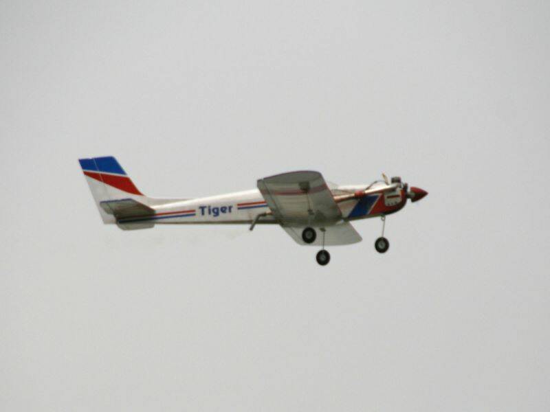 _MG_3577.JPG