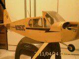 IMAG0124.jpg