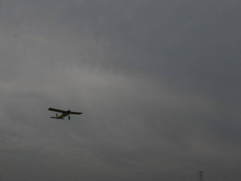 IMG_7373.JPG