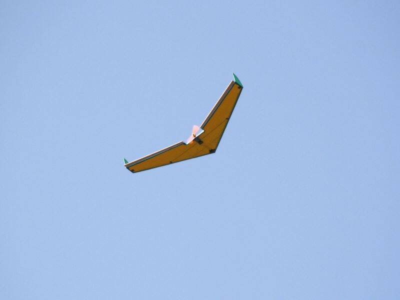 _MG_3646.JPG