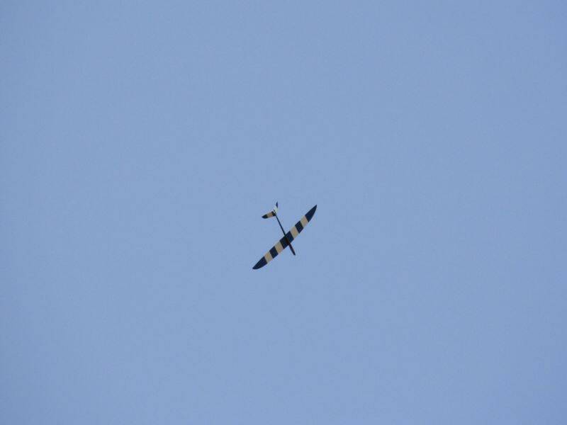 _MG_3647.JPG