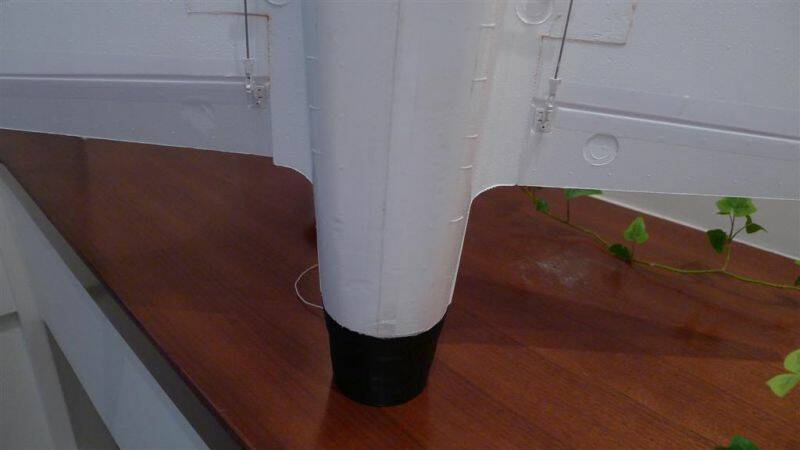 P1000322 (Large).JPG