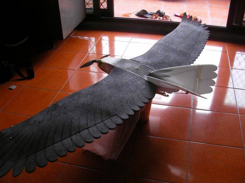 SANY0054.JPG