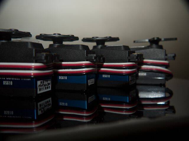 P1020106.jpg