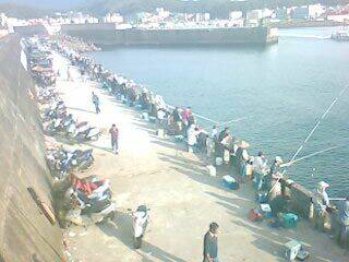 IMG001-1.JPG