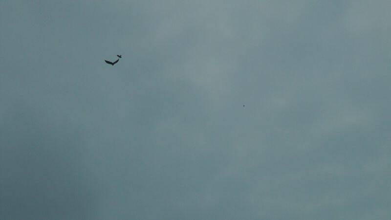 20110519_104246.jpg