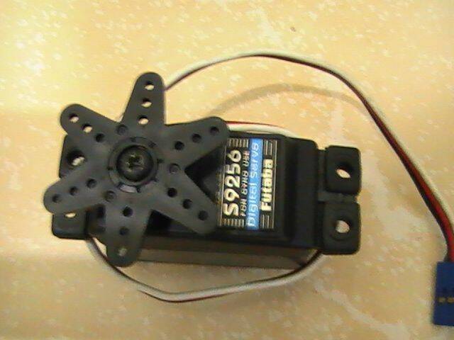 PIC_0254.JPG