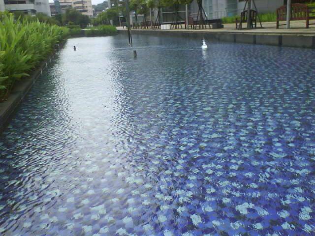 DSC05241.JPG
