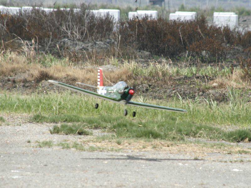 _MG_4196.JPG