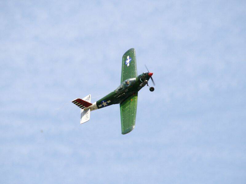 _MG_4187.JPG