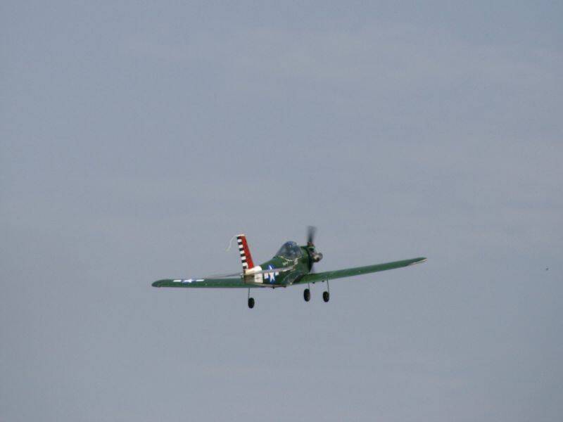 _MG_4176.JPG