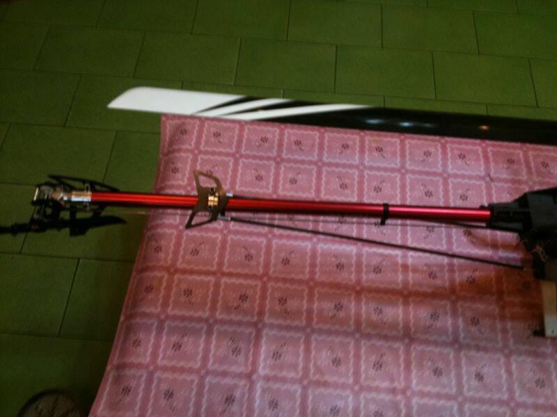 照片 307.jpg