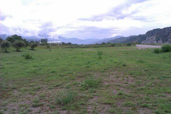 IMAG0013.jpg