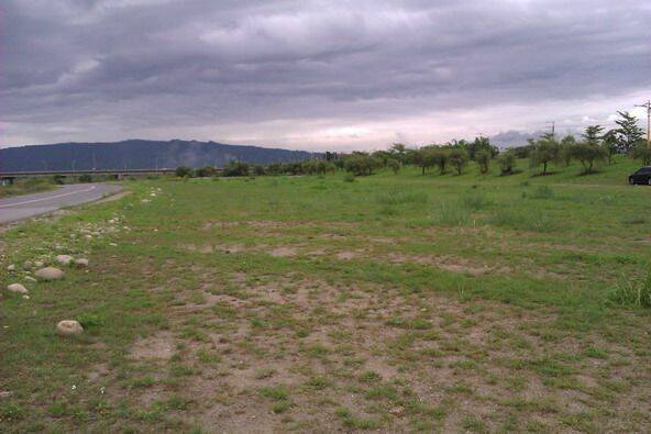 IMAG0019.jpg