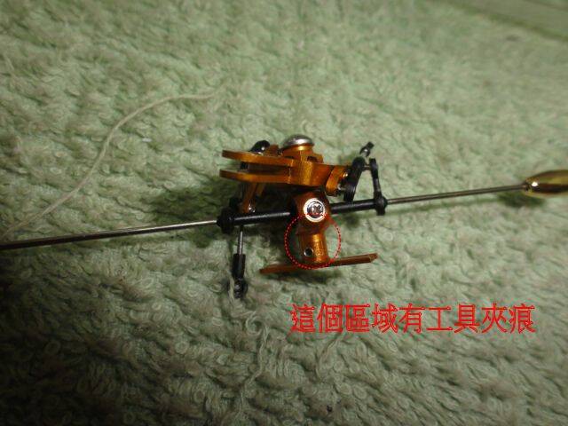 DSC01217.JPG