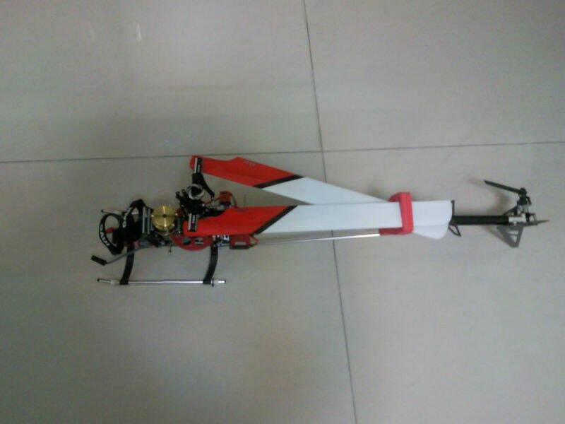 SNC01338-1000.jpg