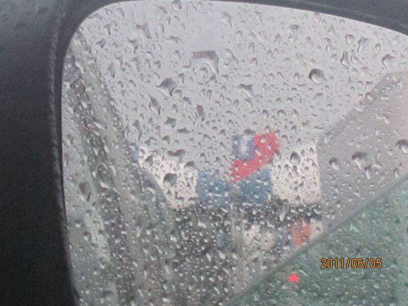 風雨中仍屹立不搖..