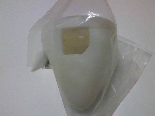 照片 019.jpg