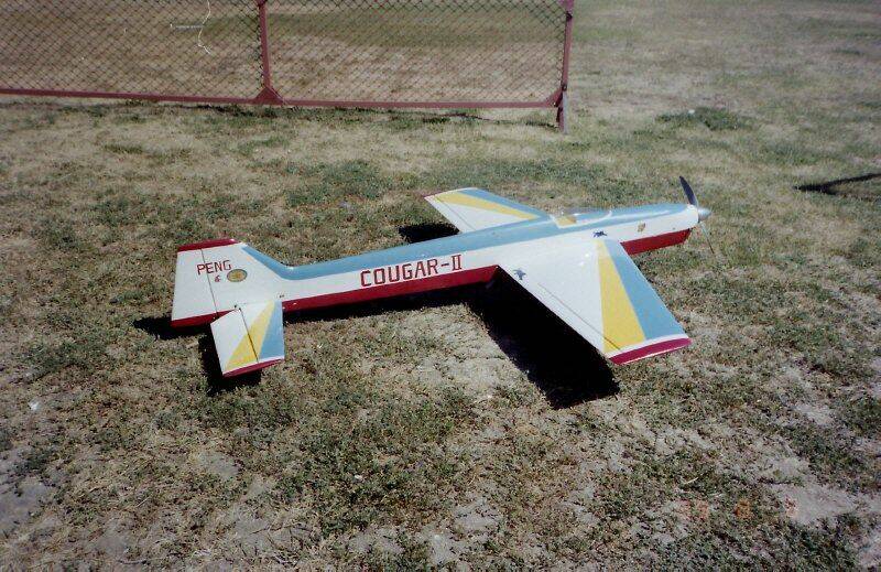 Cougar2.JPG