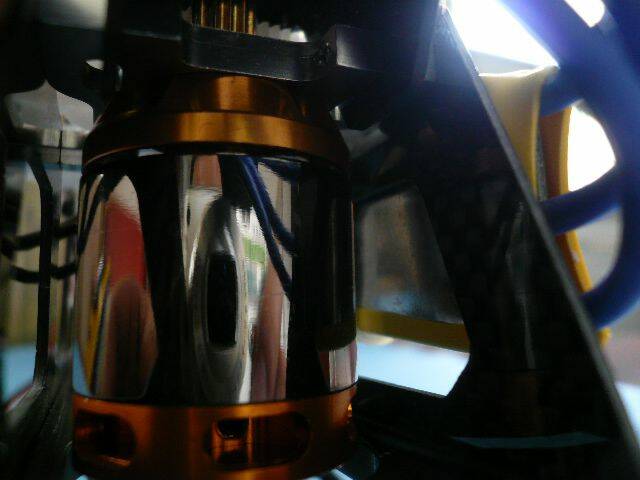 P1010490.JPG