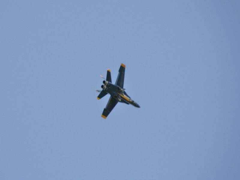 _MG_4423.JPG