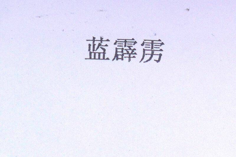 P1000729.JPG