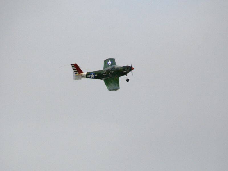 _MG_4508.JPG