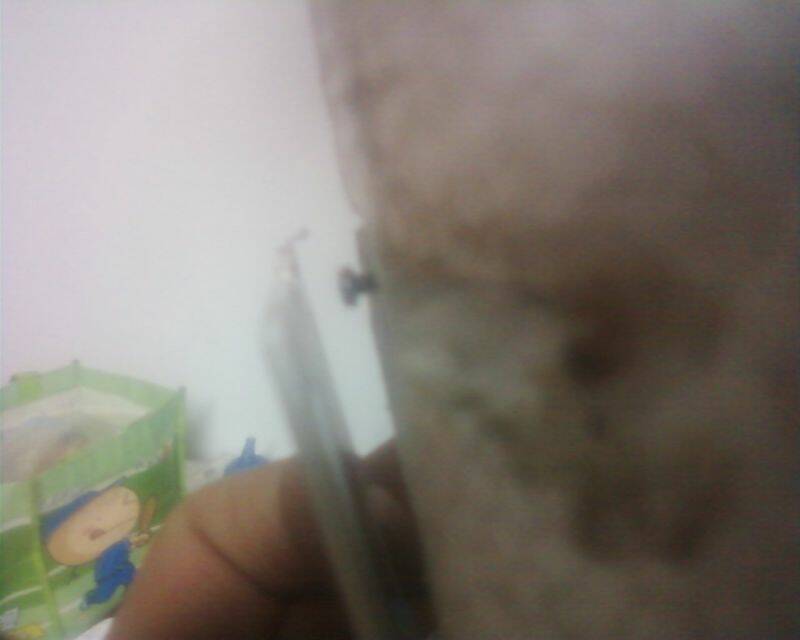 相片0231.jpg