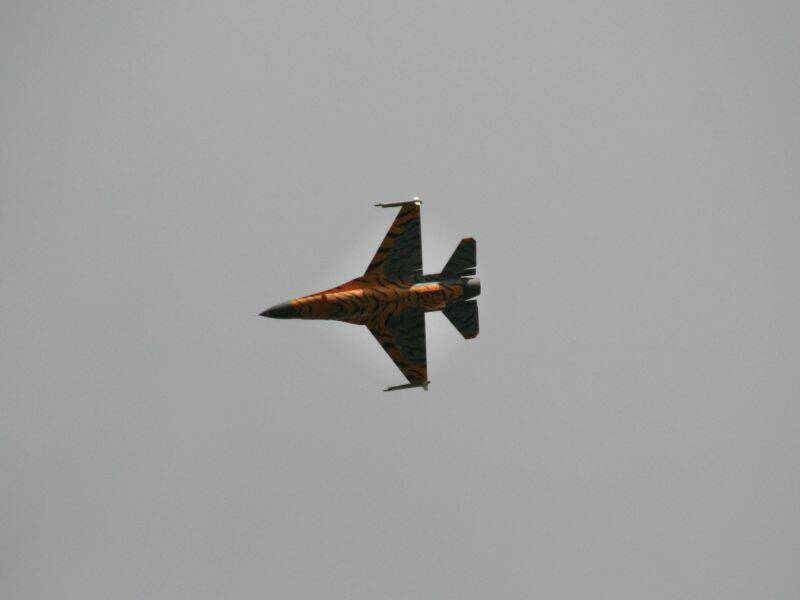 _MG_4301.JPG
