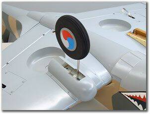 hawk36.jpg