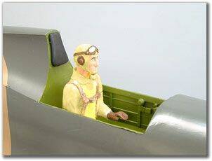 hawk57.jpg