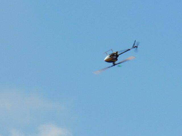 IMG_0805.JPG
