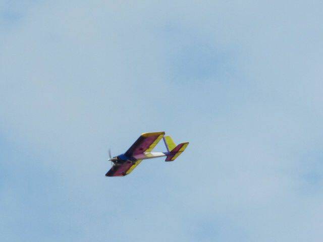 IMG_0781.JPG
