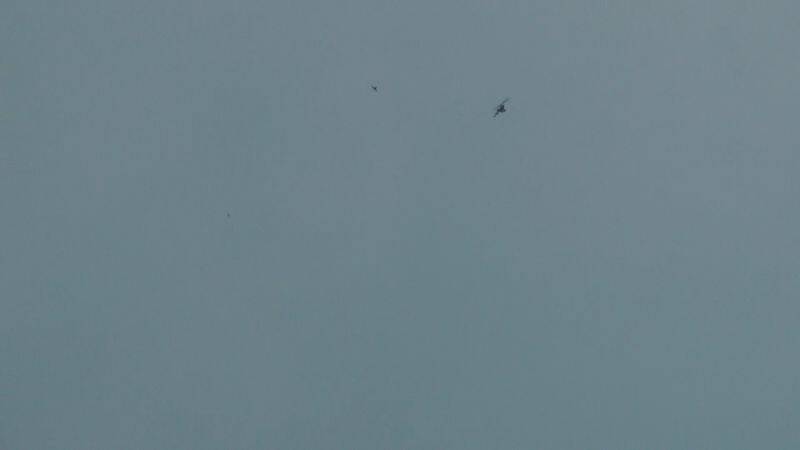 20110704_140823(2).jpg