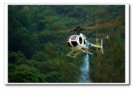 MD500.jpg