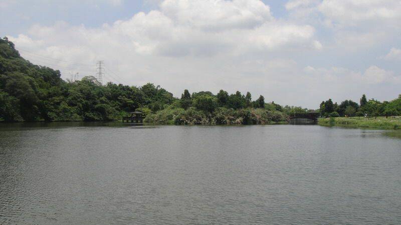 DSC05871A.jpg