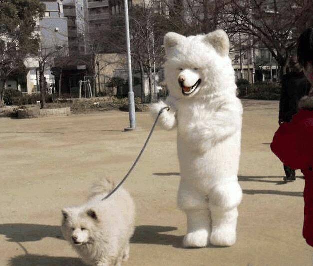 securedownload.jpg