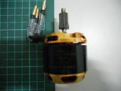 DSCN0428.jpg