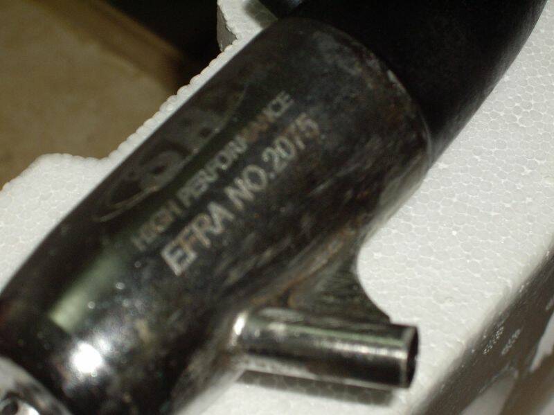 IMGP6906.JPG