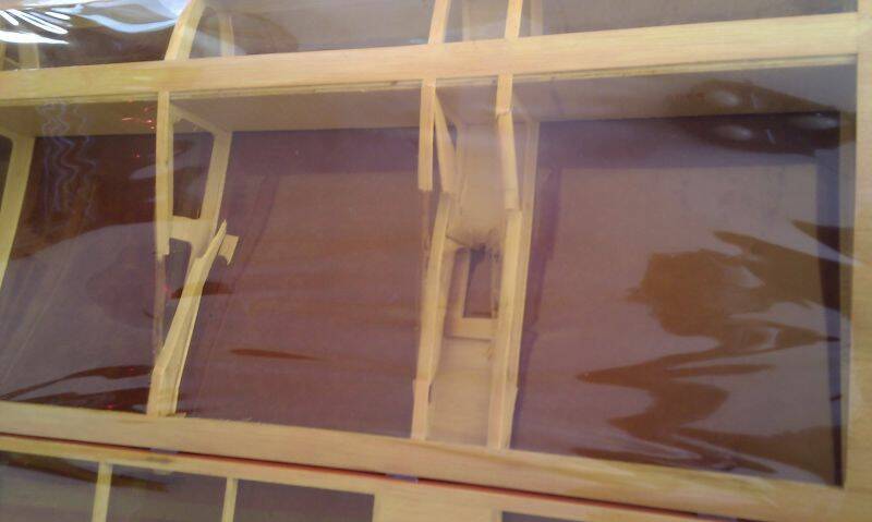 IMAG0278.jpg