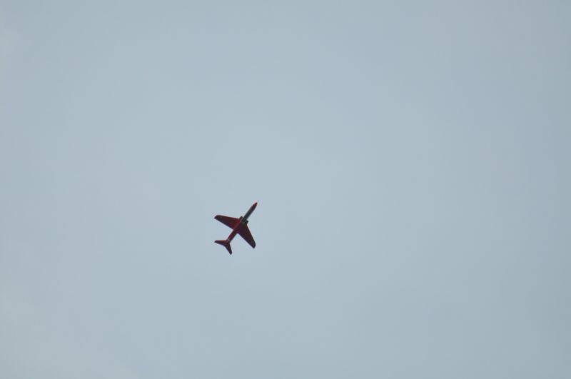 阿強兄 2426-1.jpg