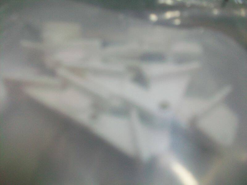 100_1319.JPG